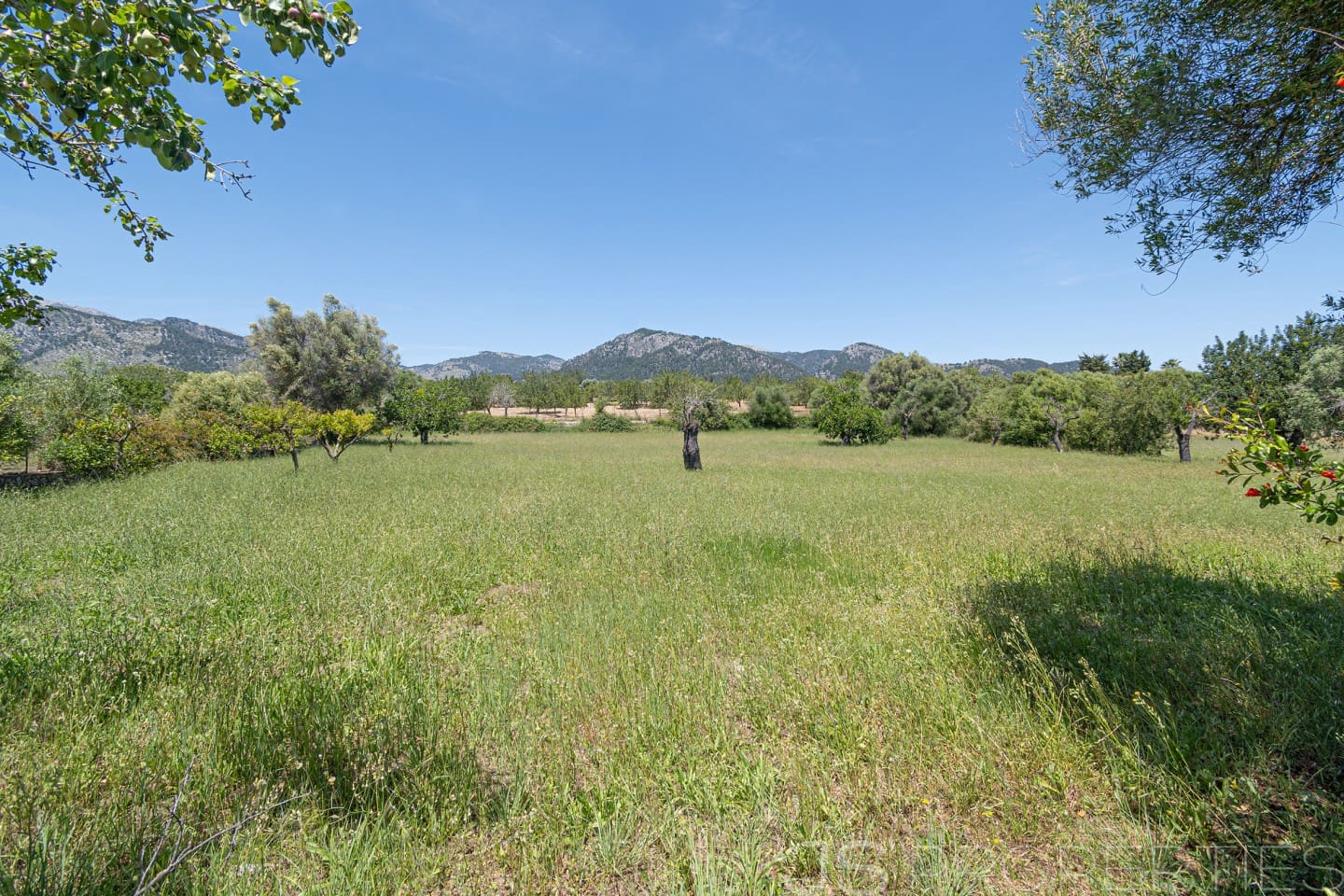 5 bedroom Villa for sale in Moscari with pool garage - € 4,500,000 (Ref: 10046192)