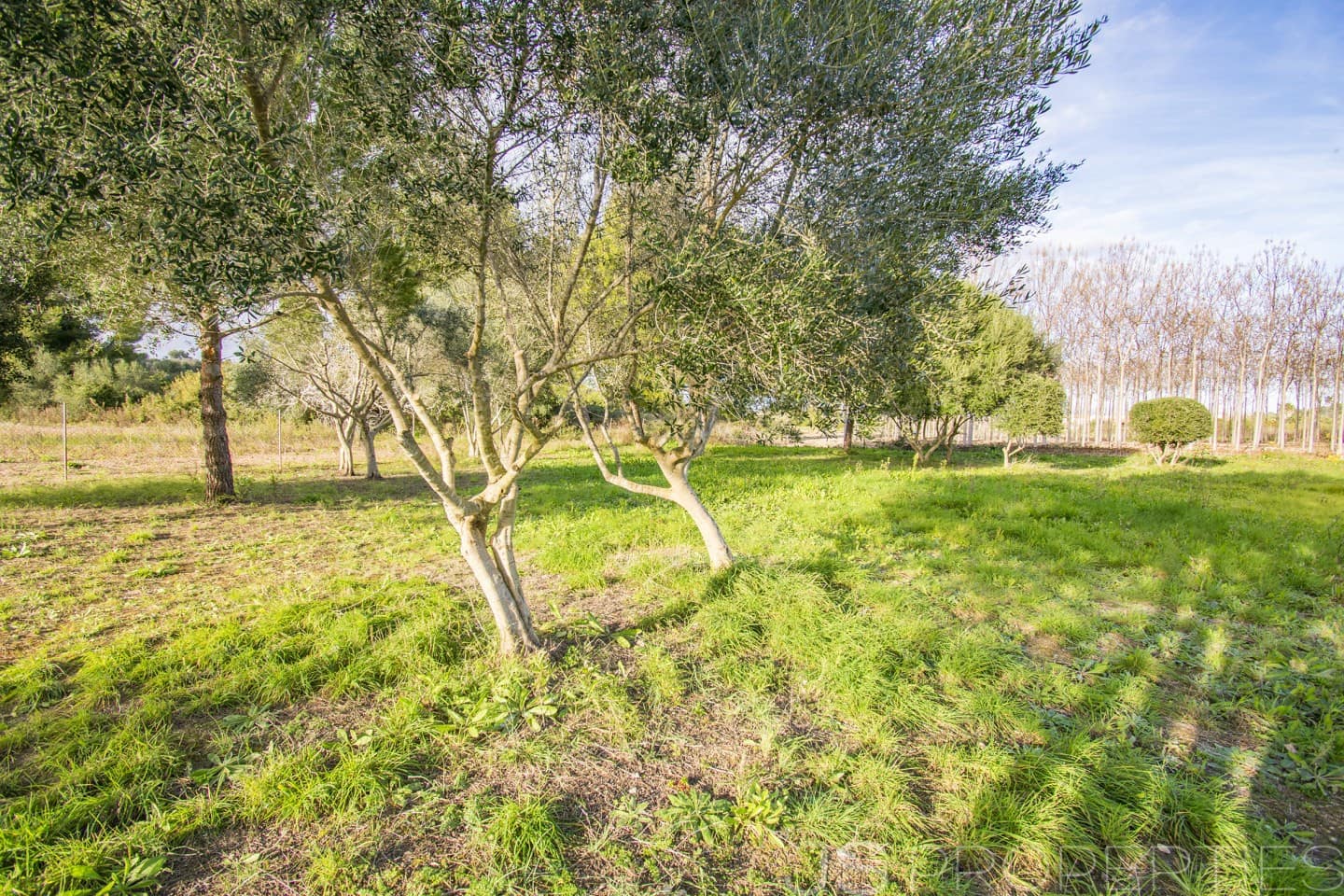 3 chambre Villa/Maison à vendre à Alcudia - 1 550 000 € (Ref: 8802354)