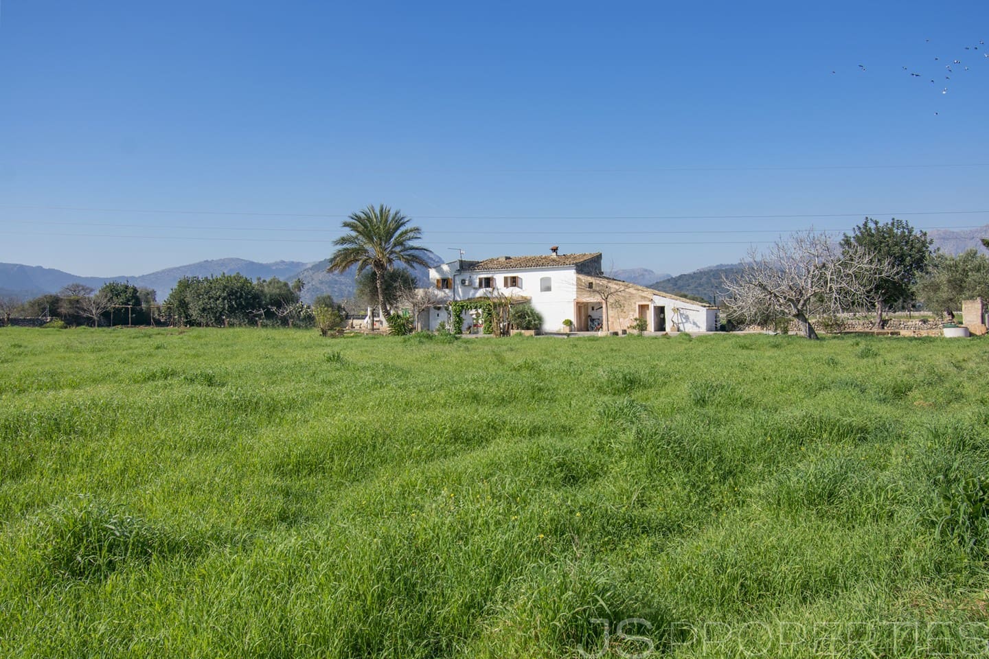 Chalet de 4 habitaciones en Pollensa / Pollença en venta - 1.200.000 € (Ref: 8802689)