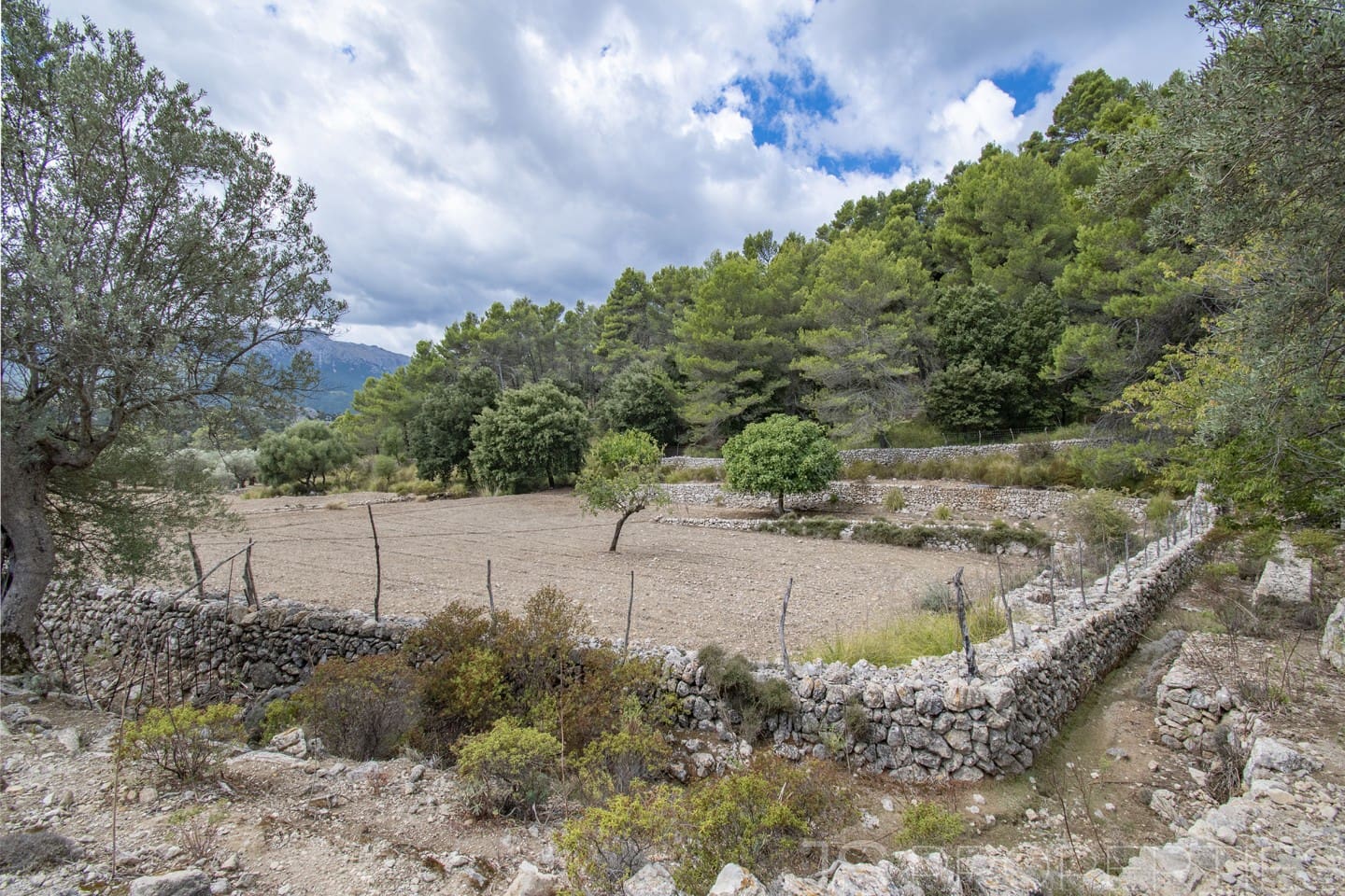 11 soveværelse Villa til salg i Escorca - € 5.500.000 (Ref: 8802692)