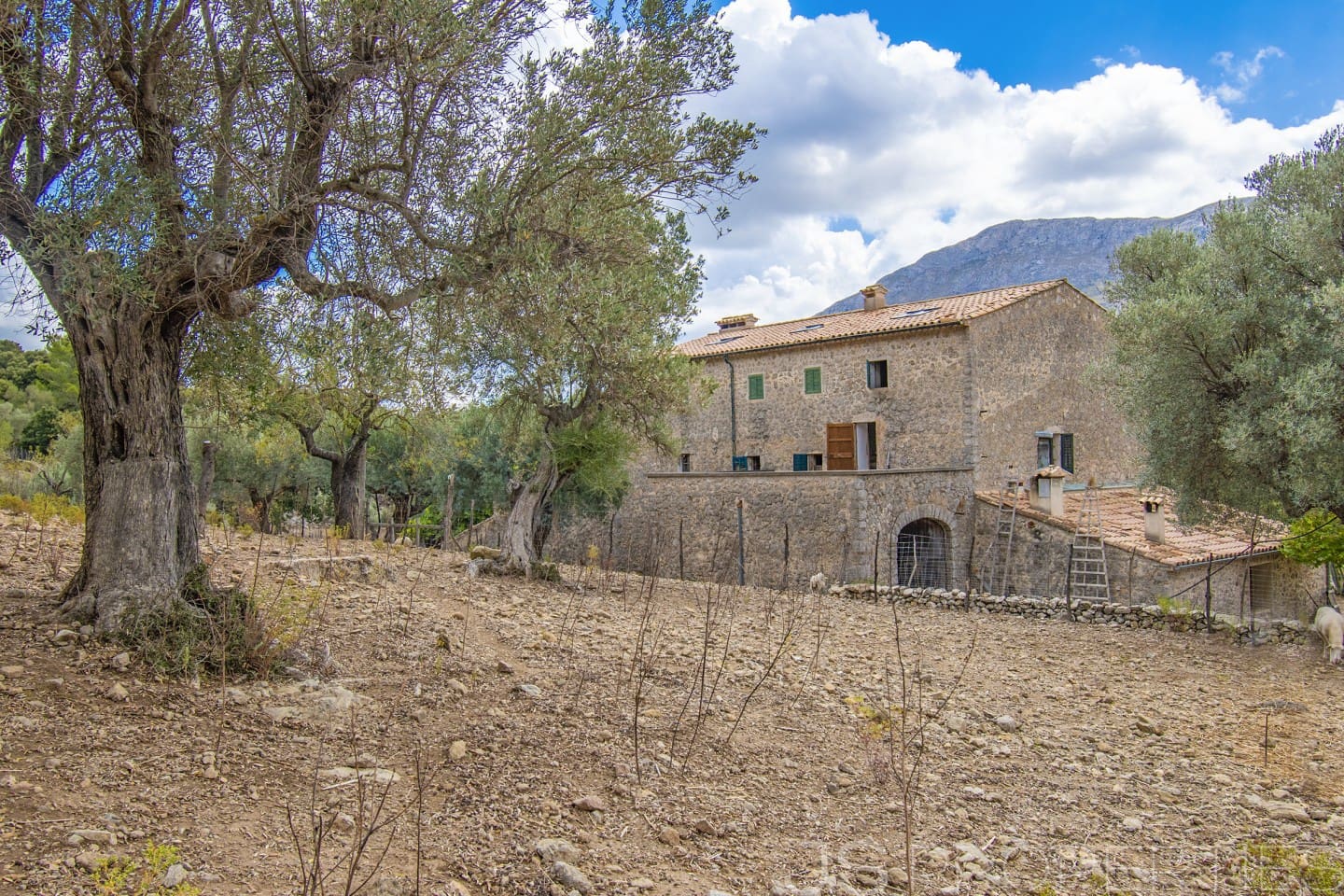 11 soveværelse Villa til salg i Escorca - € 5.500.000 (Ref: 8802692)