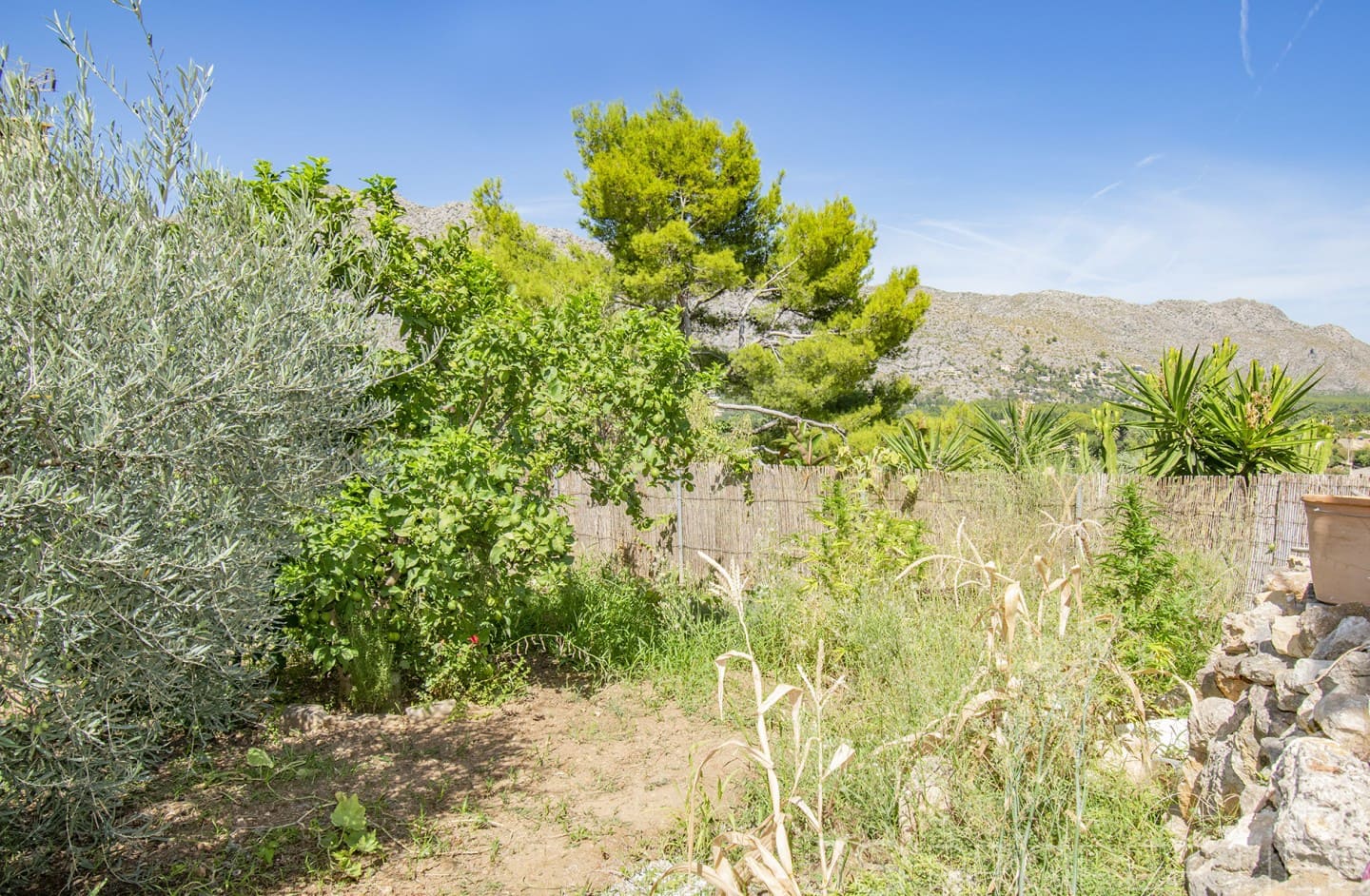 5 chambre Maison de Ville à vendre à Pollensa / Pollenca - 1 500 000 € (Ref: 8802745)