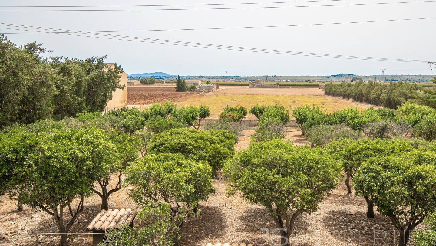 4 bedroom Villa for sale in Sa Pobla - € 875,000 (Ref: 8802797)