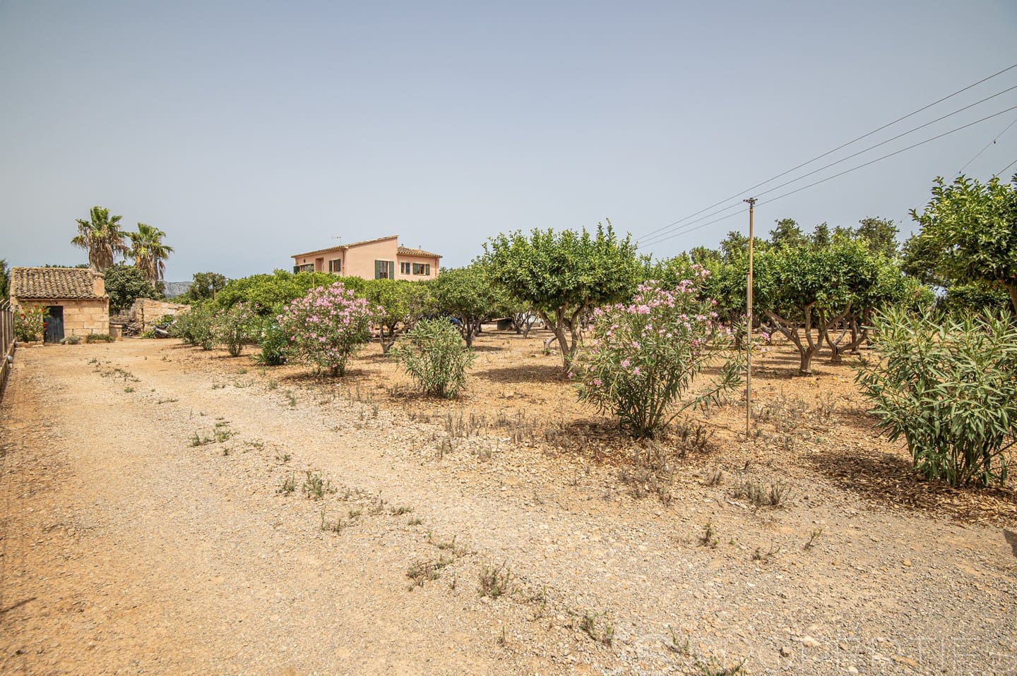 4 bedroom Villa for sale in Sa Pobla - € 875,000 (Ref: 8802797)