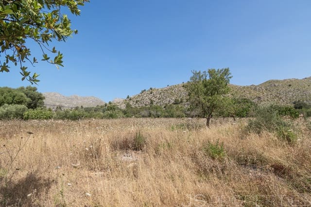 Bouwgrond te koop in Pollensa / Pollença - € 1.167.000 (Ref: 8802829)