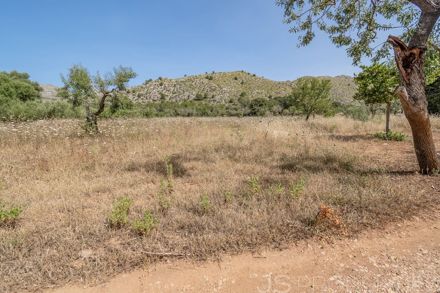 Bouwgrond te koop in Pollensa / Pollenca - € 1.167.000 (Ref: 8802829)