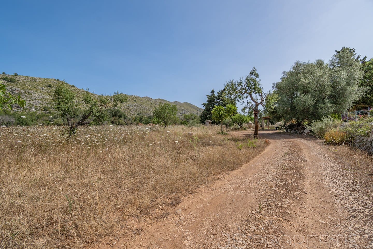 Bouwgrond te koop in Pollensa / Pollenca - € 1.167.000 (Ref: 8802829)