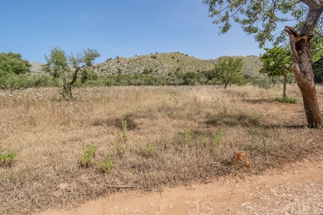 Bouwgrond te koop in Pollensa / Pollença - € 1.167.000 (Ref: 8802829)