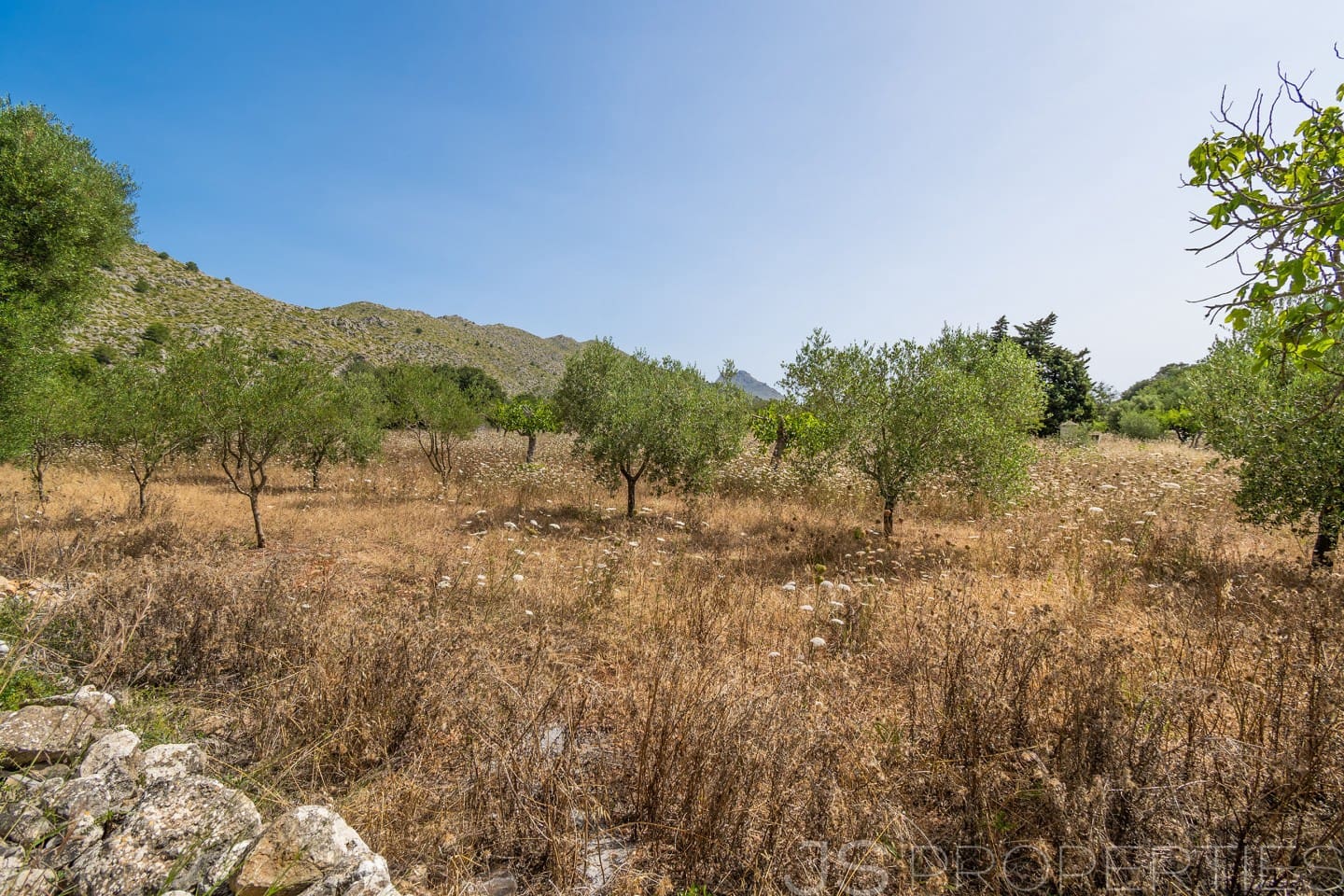 Bouwgrond te koop in Pollensa / Pollenca - € 1.167.000 (Ref: 8802829)
