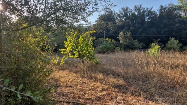 Tomt till salu i Pollensa / Pollença - 138 000 € (Ref: 8802850)