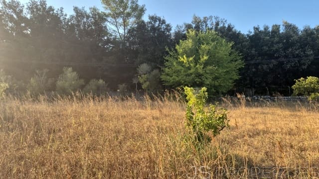 Tomt till salu i Pollensa / Pollença - 138 000 € (Ref: 8802850)