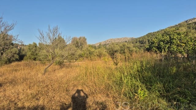 Tomt till salu i Pollensa / Pollença - 138 000 € (Ref: 8802850)