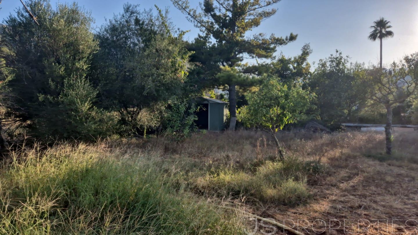 Tomt till salu i Pollensa / Pollenca - 138 000 € (Ref: 8802850)