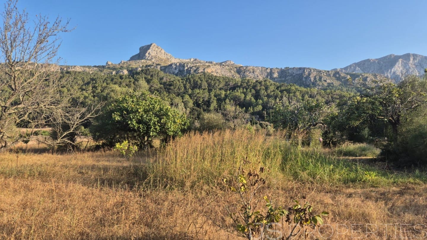 Tomt till salu i Pollensa / Pollenca - 138 000 € (Ref: 8802850)