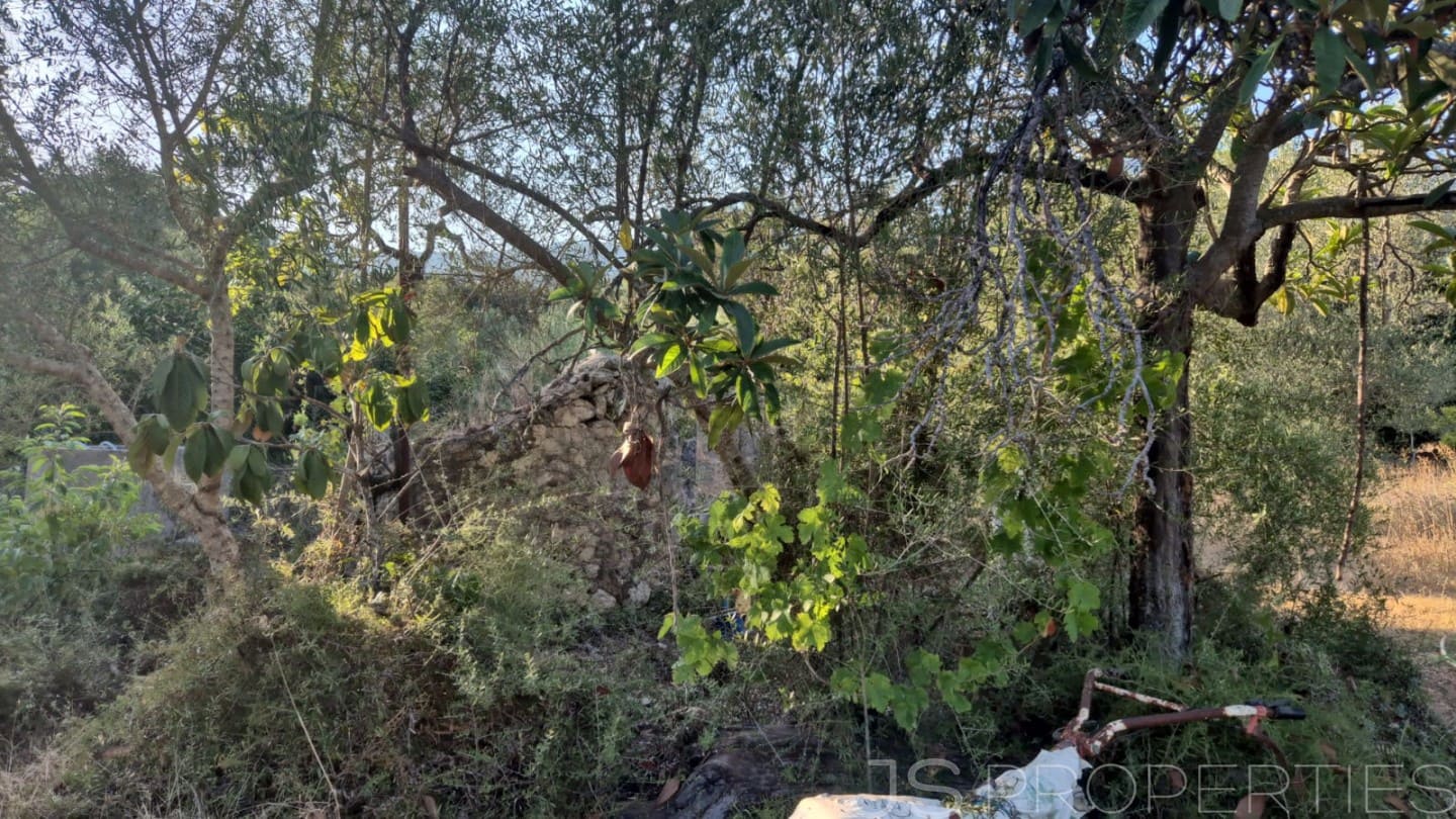 Tomt till salu i Pollensa / Pollenca - 138 000 € (Ref: 8802850)