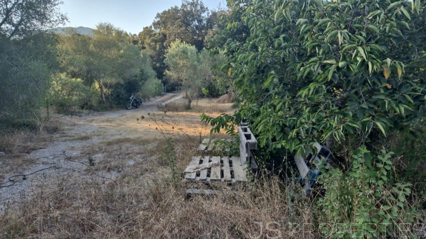 Tomt till salu i Pollensa / Pollenca - 138 000 € (Ref: 8802850)