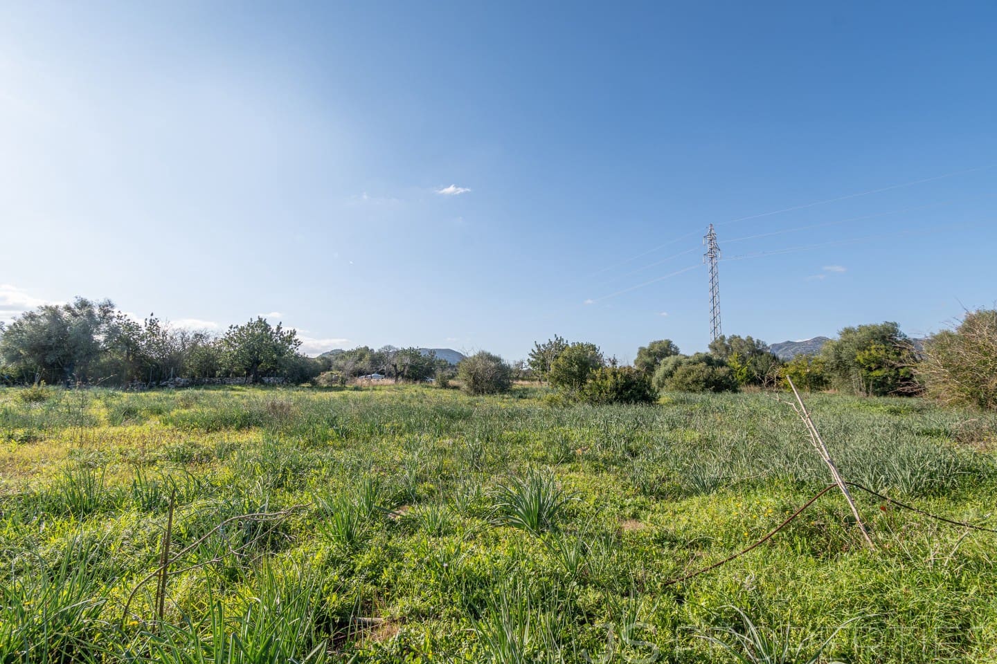 Area Edificabile in vendita in Alcudia - 950.000 € (Rif: 8802884)