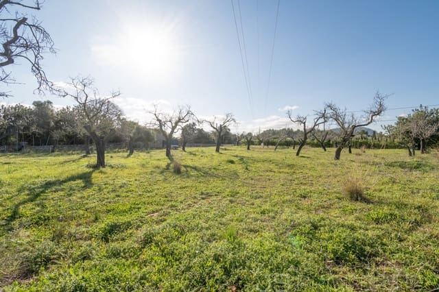 Area Edificabile in vendita in Alcúdia - 950.000 € (Rif: 8802884)