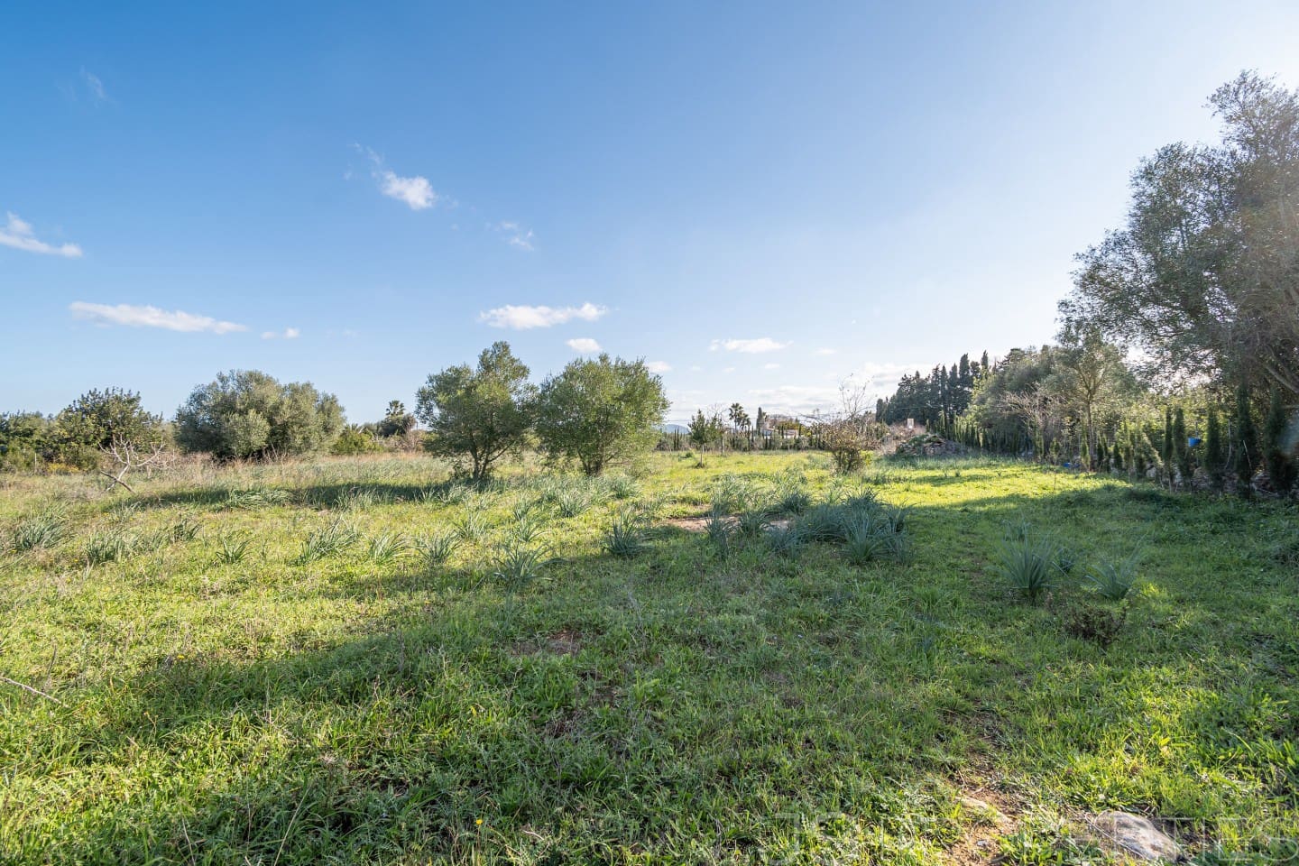 Area Edificabile in vendita in Alcudia - 950.000 € (Rif: 8802884)