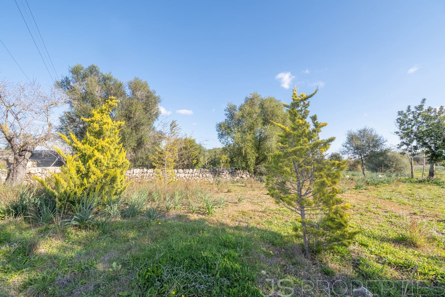 Area Edificabile in vendita in Alcudia - 950.000 € (Rif: 8802884)