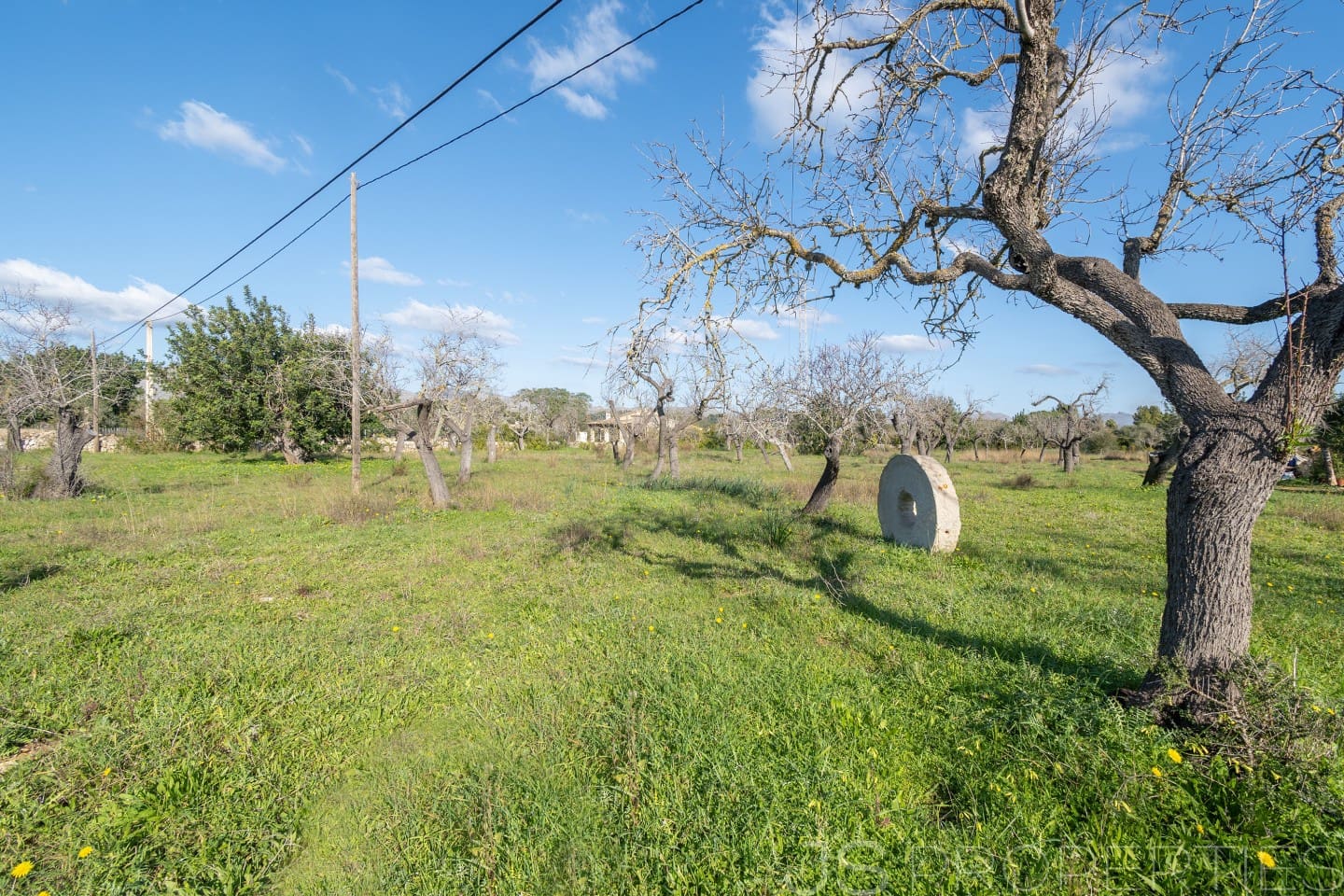 Area Edificabile in vendita in Alcudia - 950.000 € (Rif: 8802884)