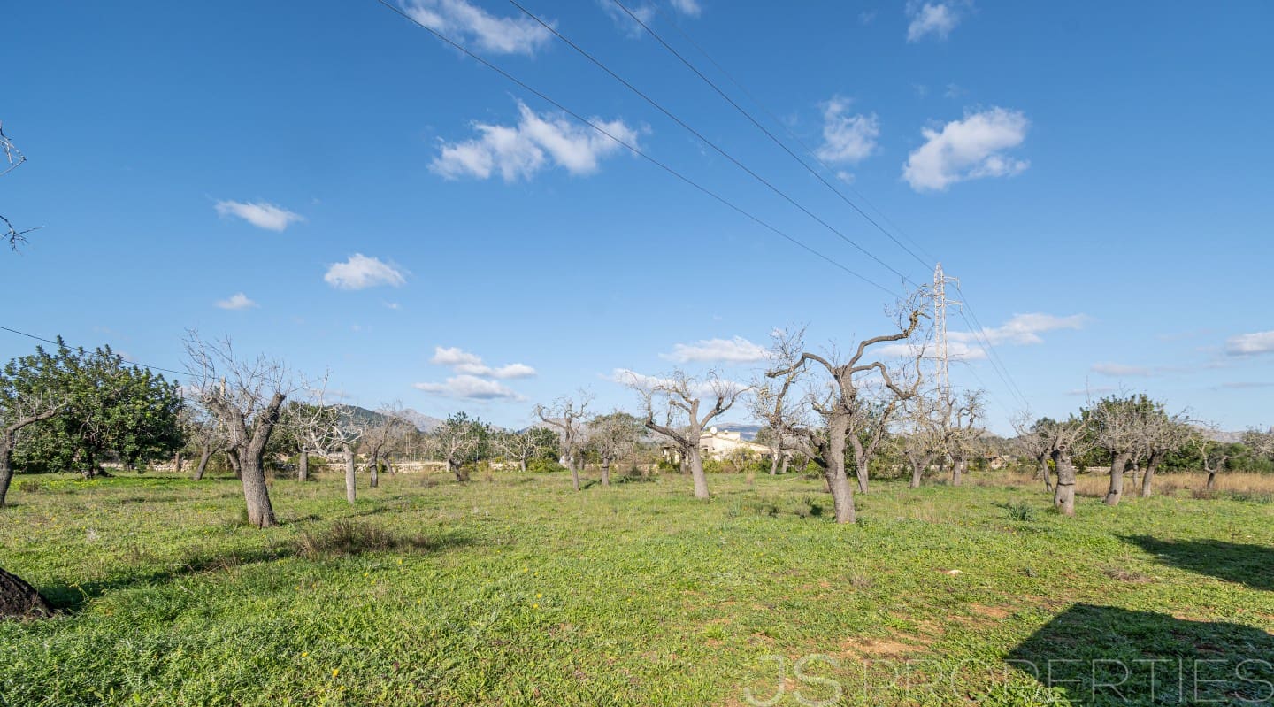 Area Edificabile in vendita in Alcudia - 950.000 € (Rif: 8802884)