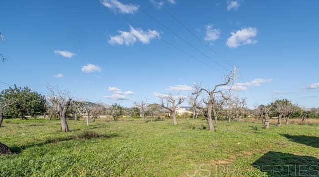 Area Edificabile in vendita in Alcúdia - 950.000 € (Rif: 8802884)