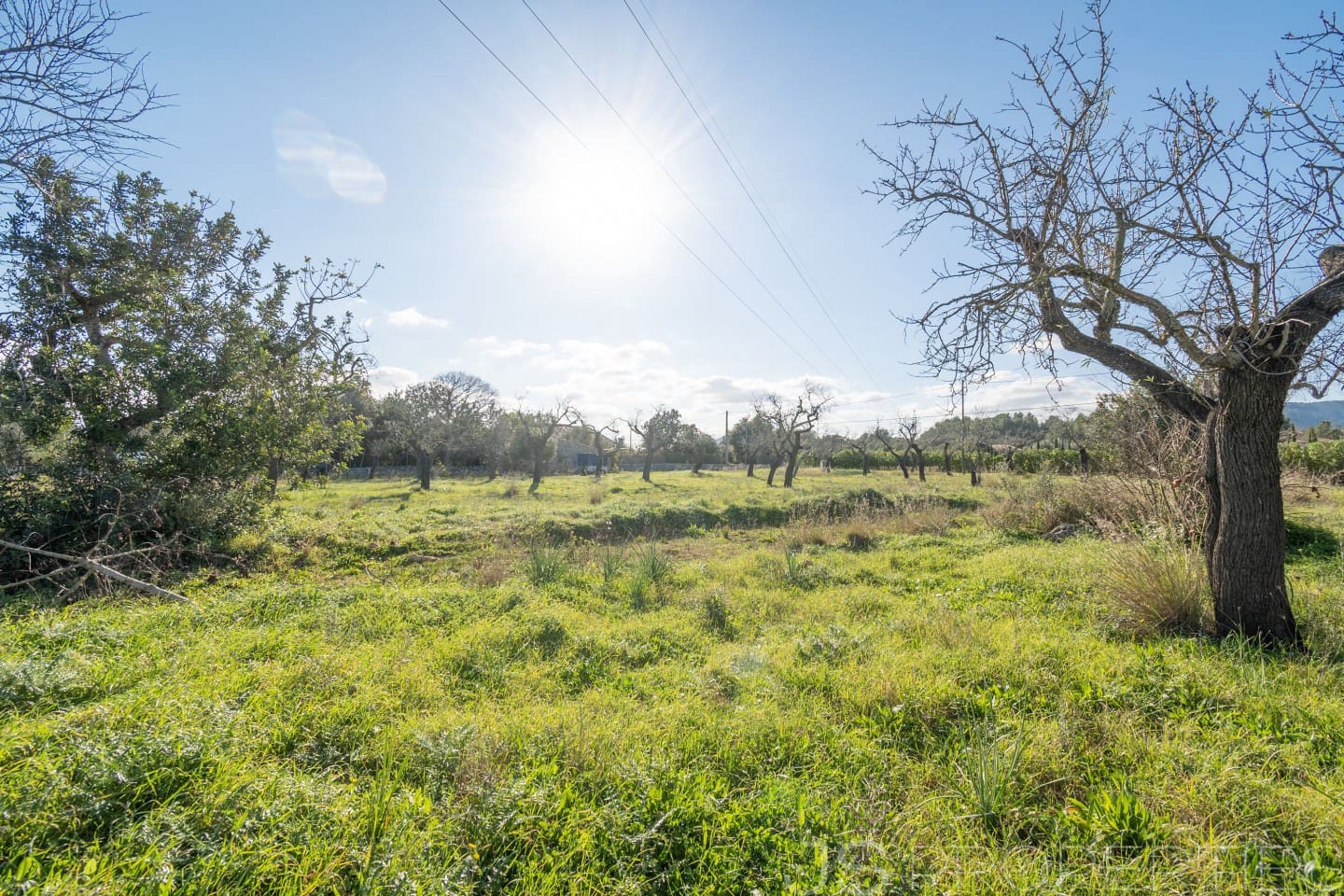 Area Edificabile in vendita in Alcudia - 950.000 € (Rif: 8802884)