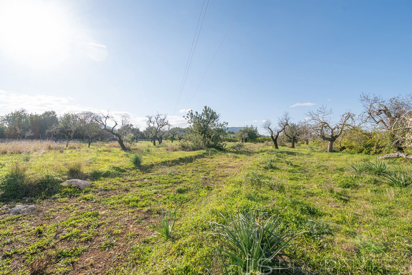 Area Edificabile in vendita in Alcudia - 950.000 € (Rif: 8802884)