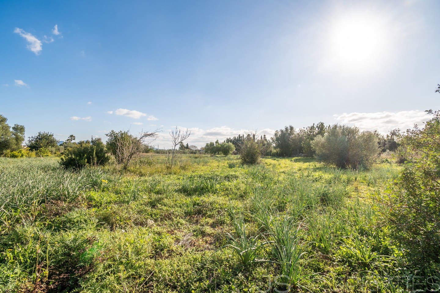 Area Edificabile in vendita in Alcudia - 950.000 € (Rif: 8802884)