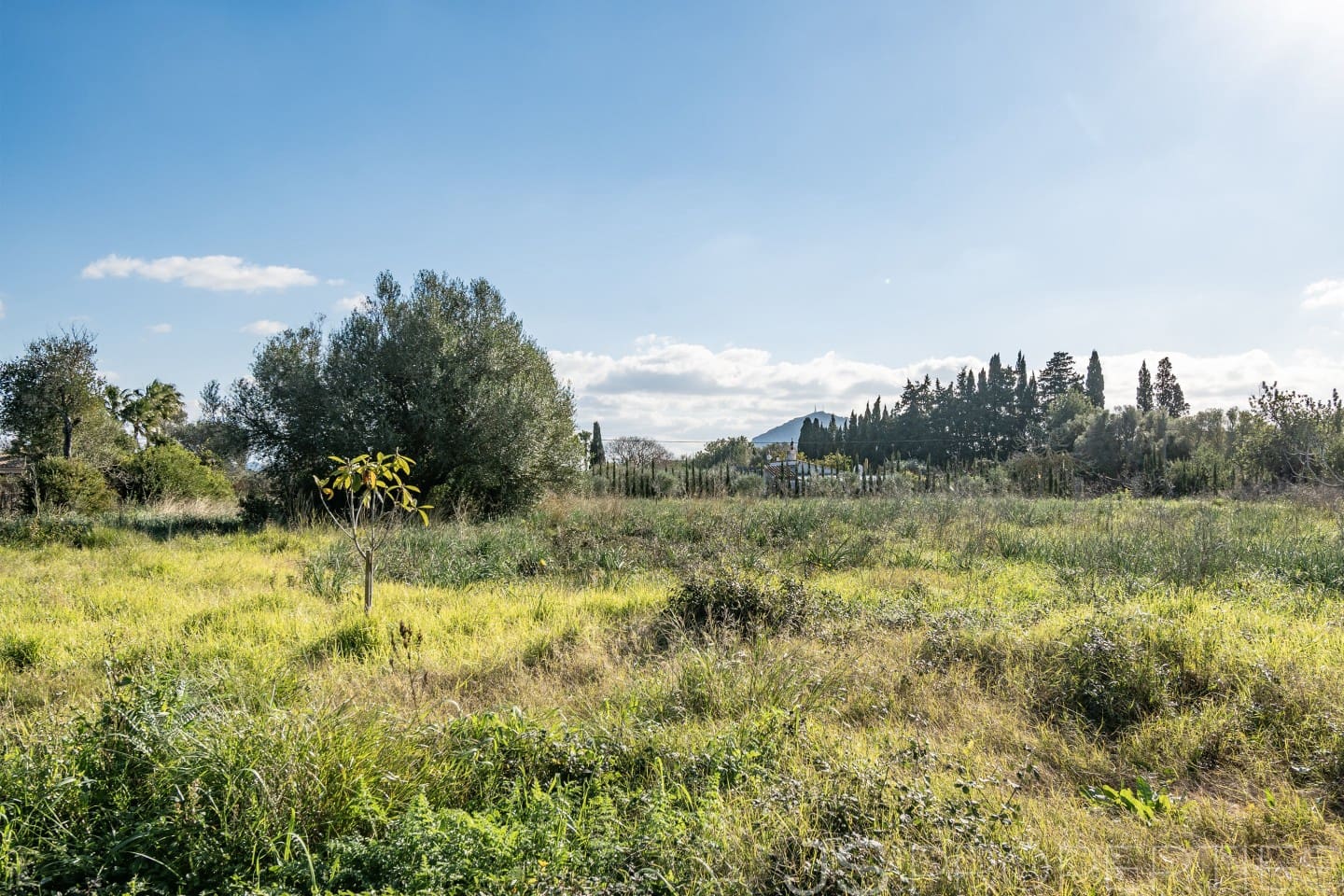 Area Edificabile in vendita in Alcudia - 950.000 € (Rif: 8802884)