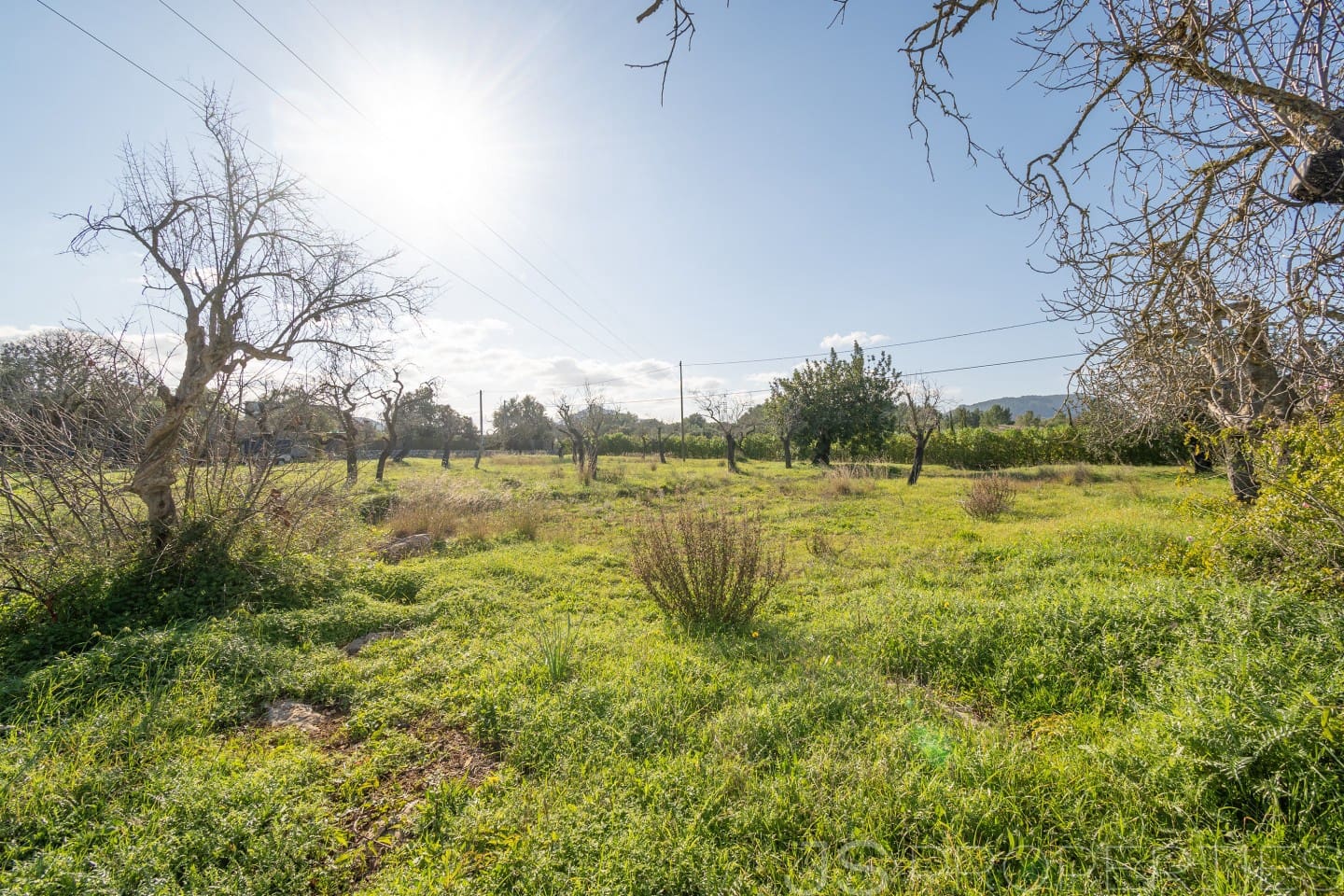 Area Edificabile in vendita in Alcudia - 950.000 € (Rif: 8802884)