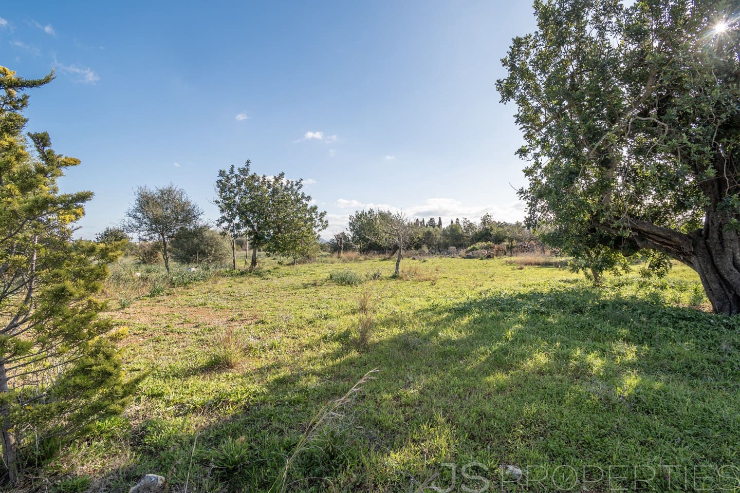 Area Edificabile in vendita in Alcudia - 950.000 € (Rif: 8802884)