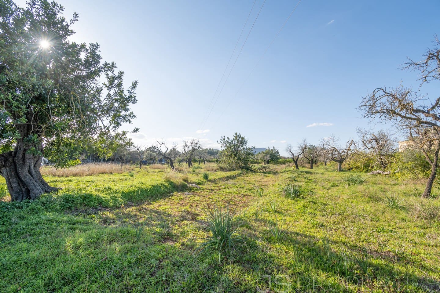 Area Edificabile in vendita in Alcudia - 950.000 € (Rif: 8802884)