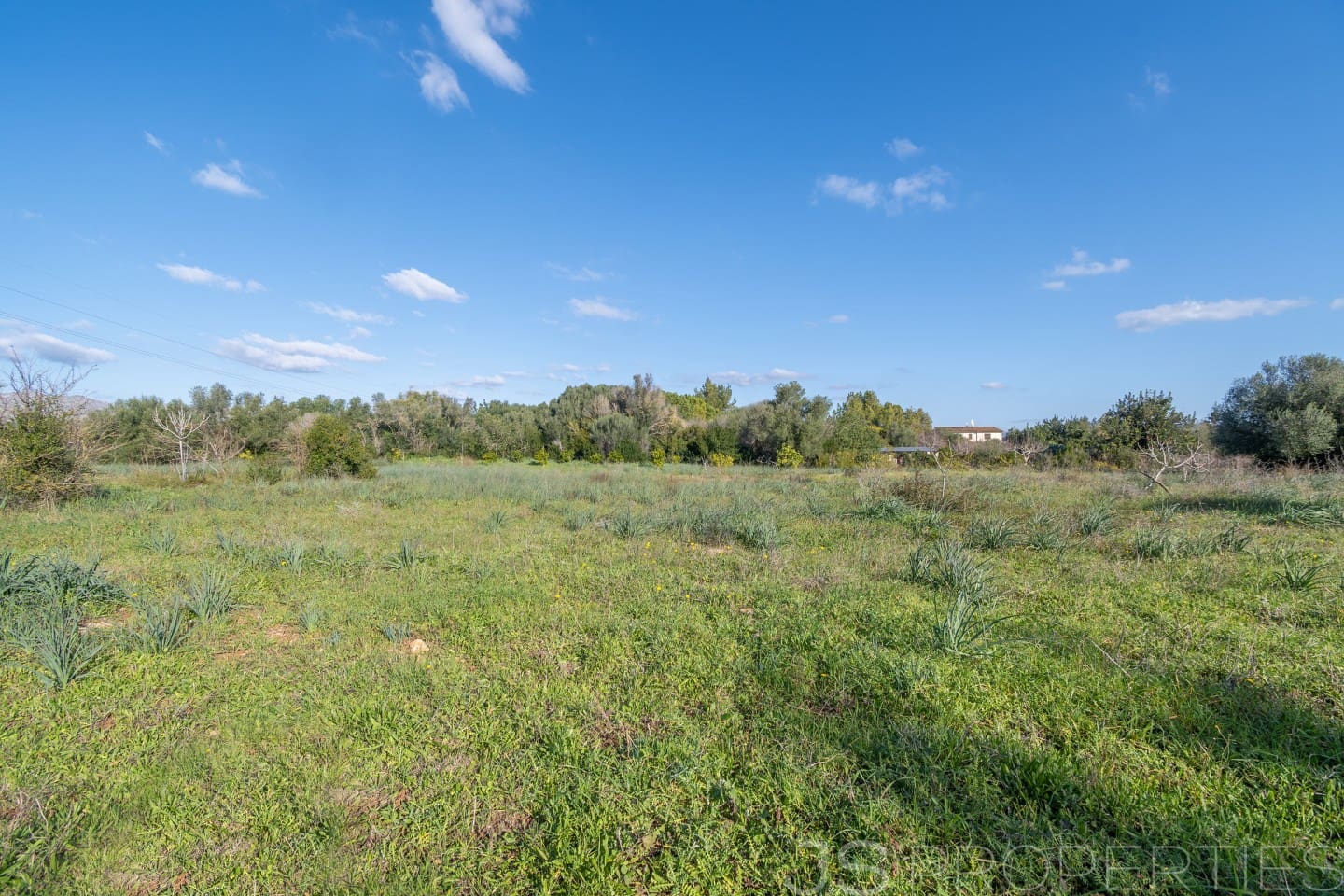 Area Edificabile in vendita in Alcudia - 950.000 € (Rif: 8802884)