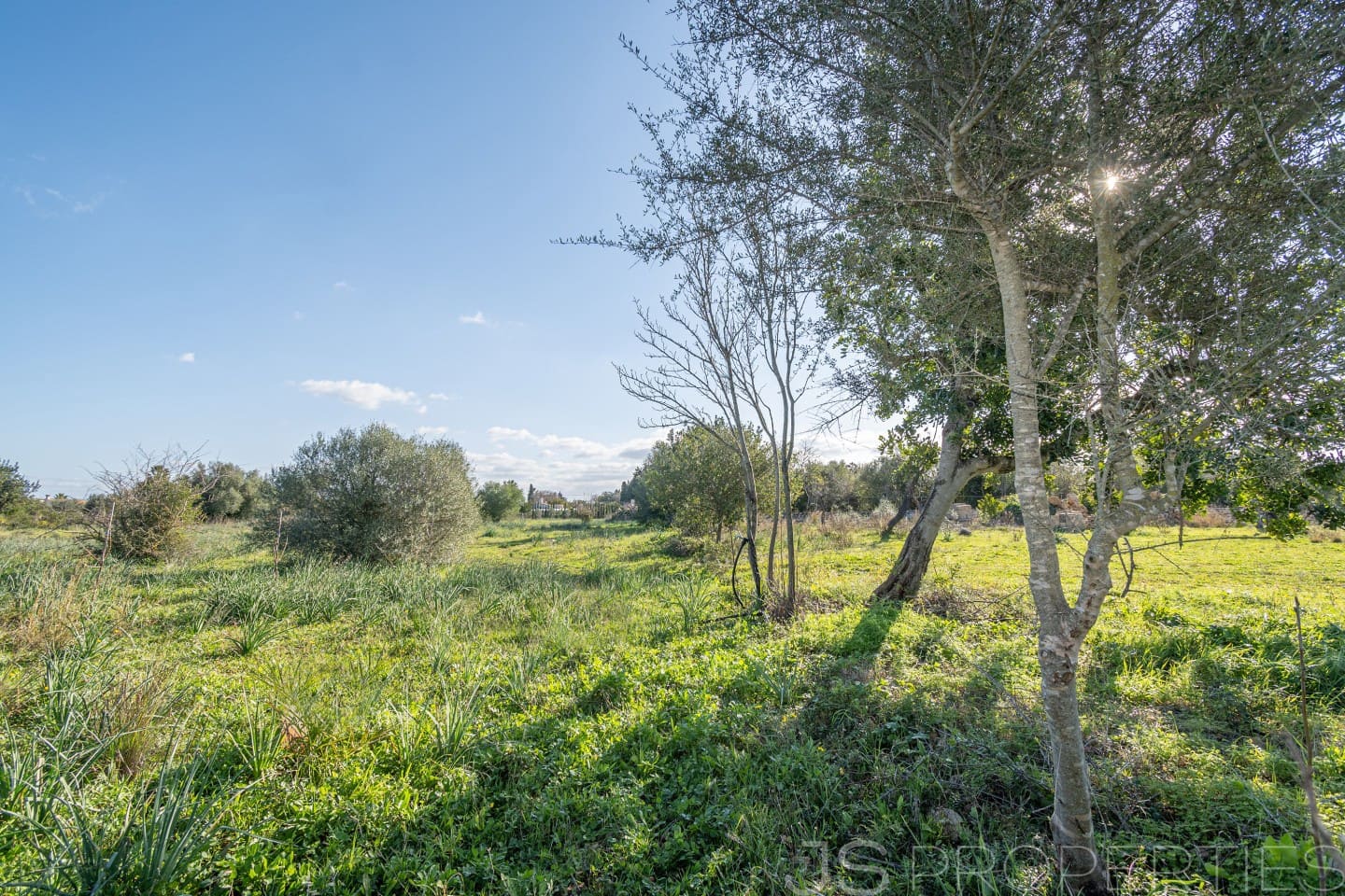 Area Edificabile in vendita in Alcudia - 950.000 € (Rif: 8802884)