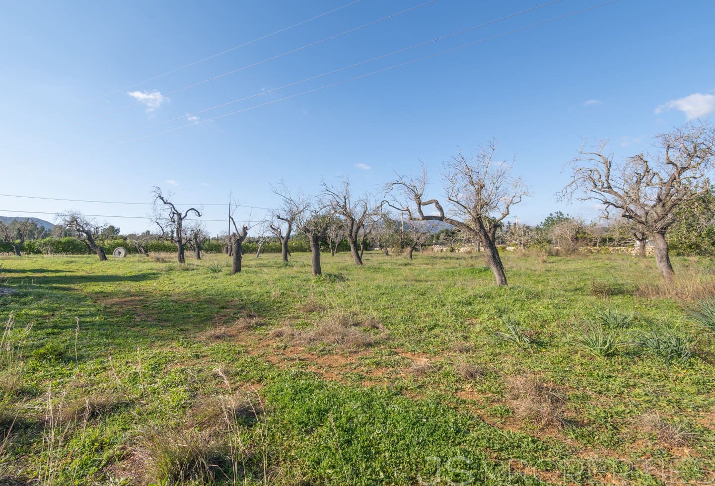 Area Edificabile in vendita in Alcudia - 950.000 € (Rif: 8802884)