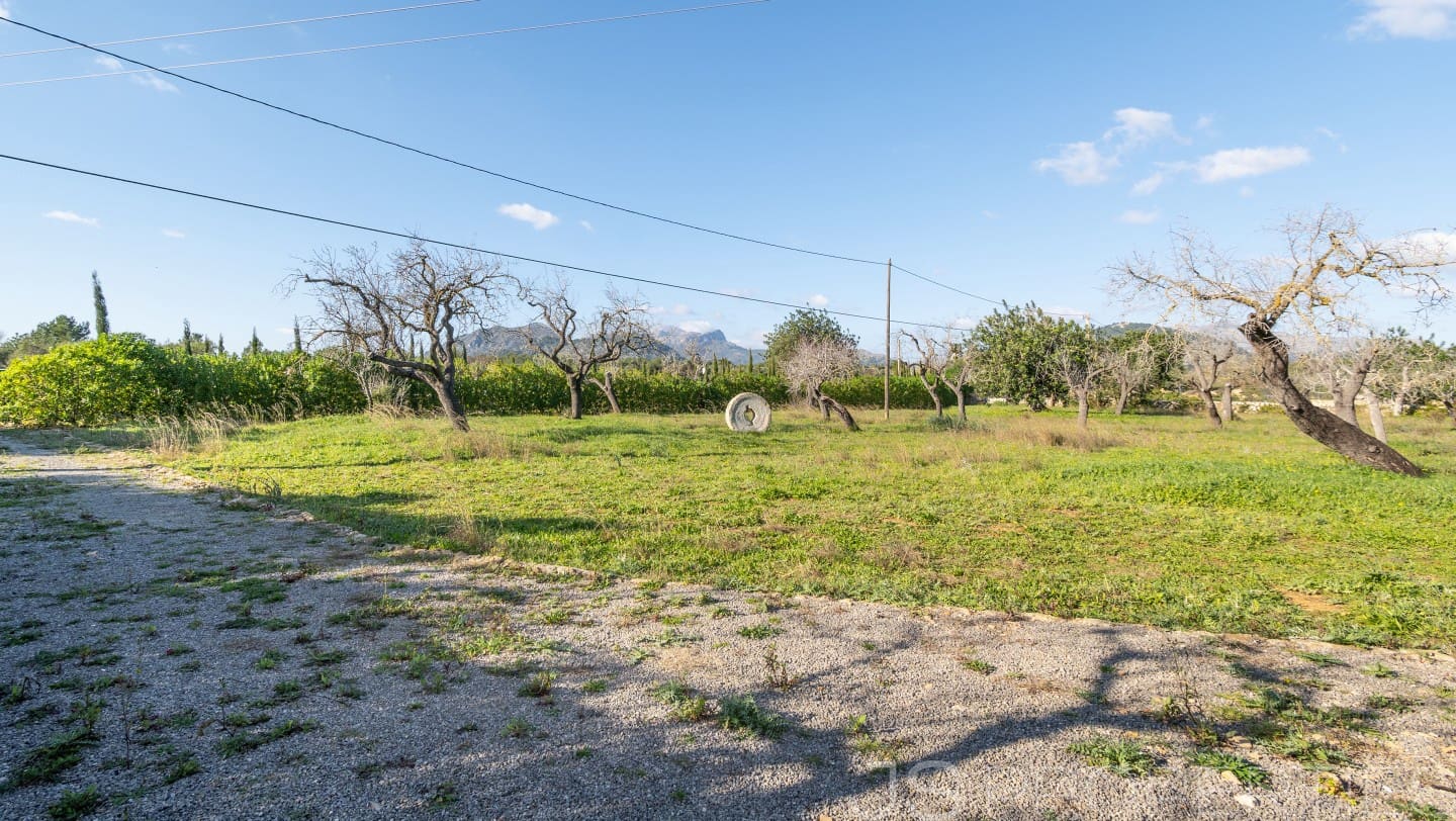 Area Edificabile in vendita in Alcudia - 950.000 € (Rif: 8802884)