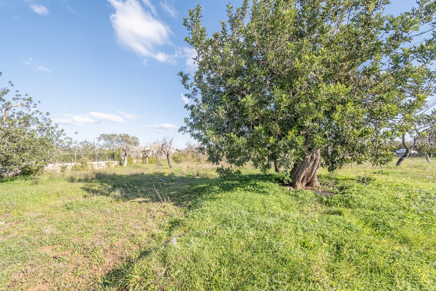 Area Edificabile in vendita in Alcudia - 950.000 € (Rif: 8802884)