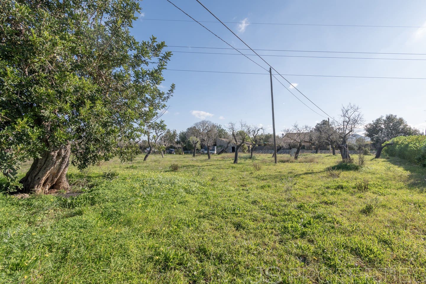 Area Edificabile in vendita in Alcudia - 950.000 € (Rif: 8802884)