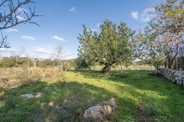 Area Edificabile in vendita in Alcúdia - 950.000 € (Rif: 8802884)