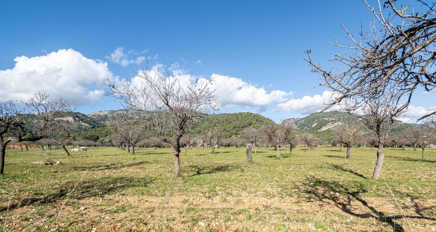 5 chambre Villa/Maison à vendre à Selva - 2 800 000 € (Ref: 8866563)