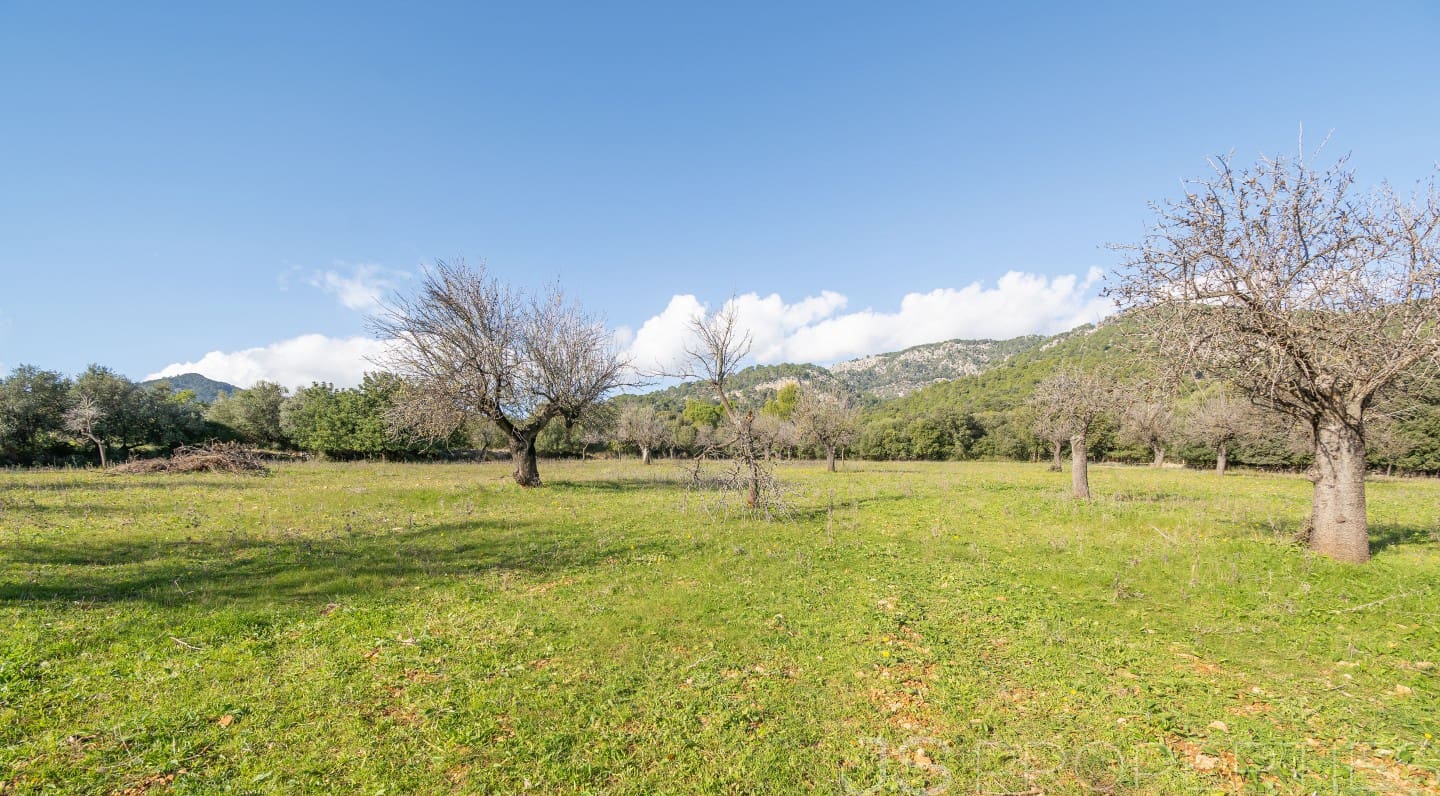 5 chambre Villa/Maison à vendre à Selva - 2 800 000 € (Ref: 8866563)