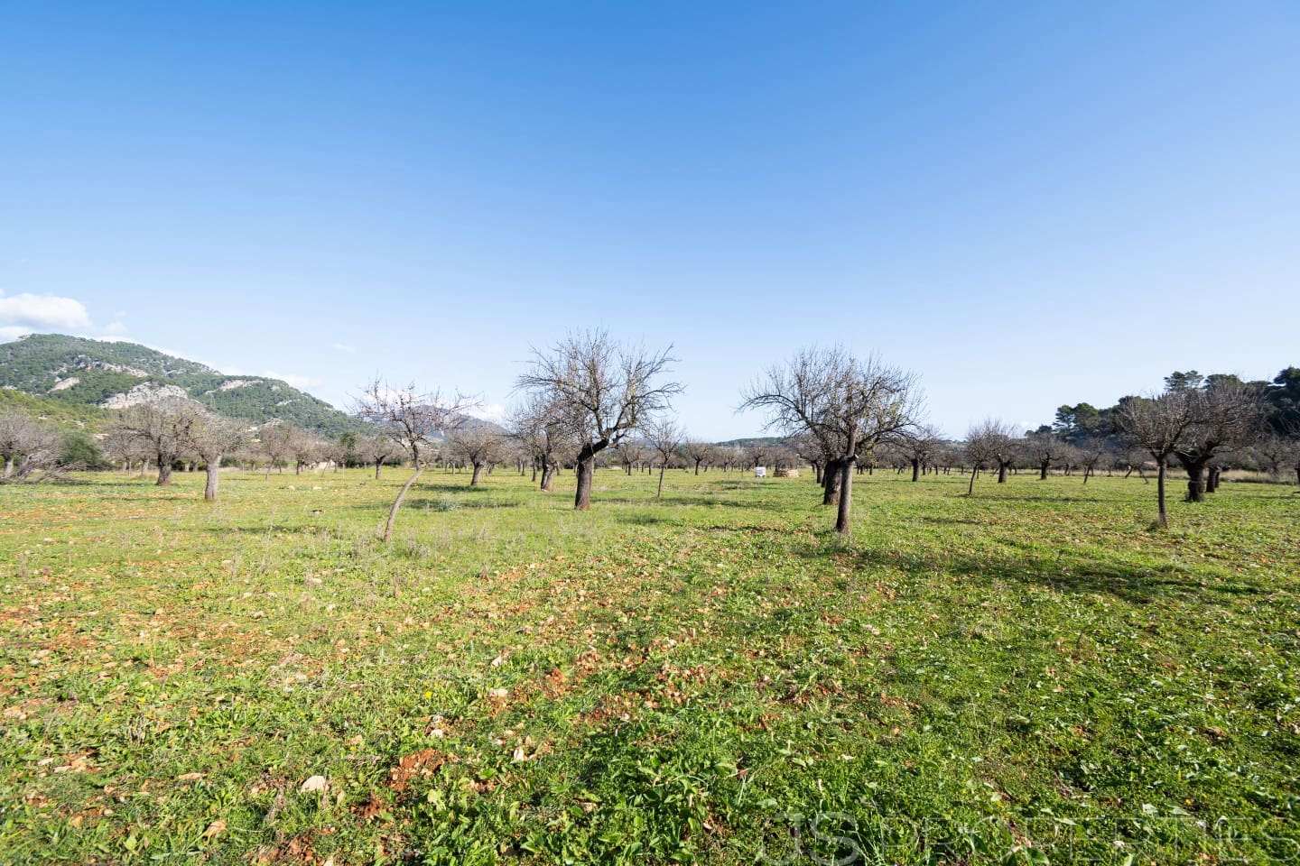 5 chambre Villa/Maison à vendre à Selva - 2 800 000 € (Ref: 8866563)