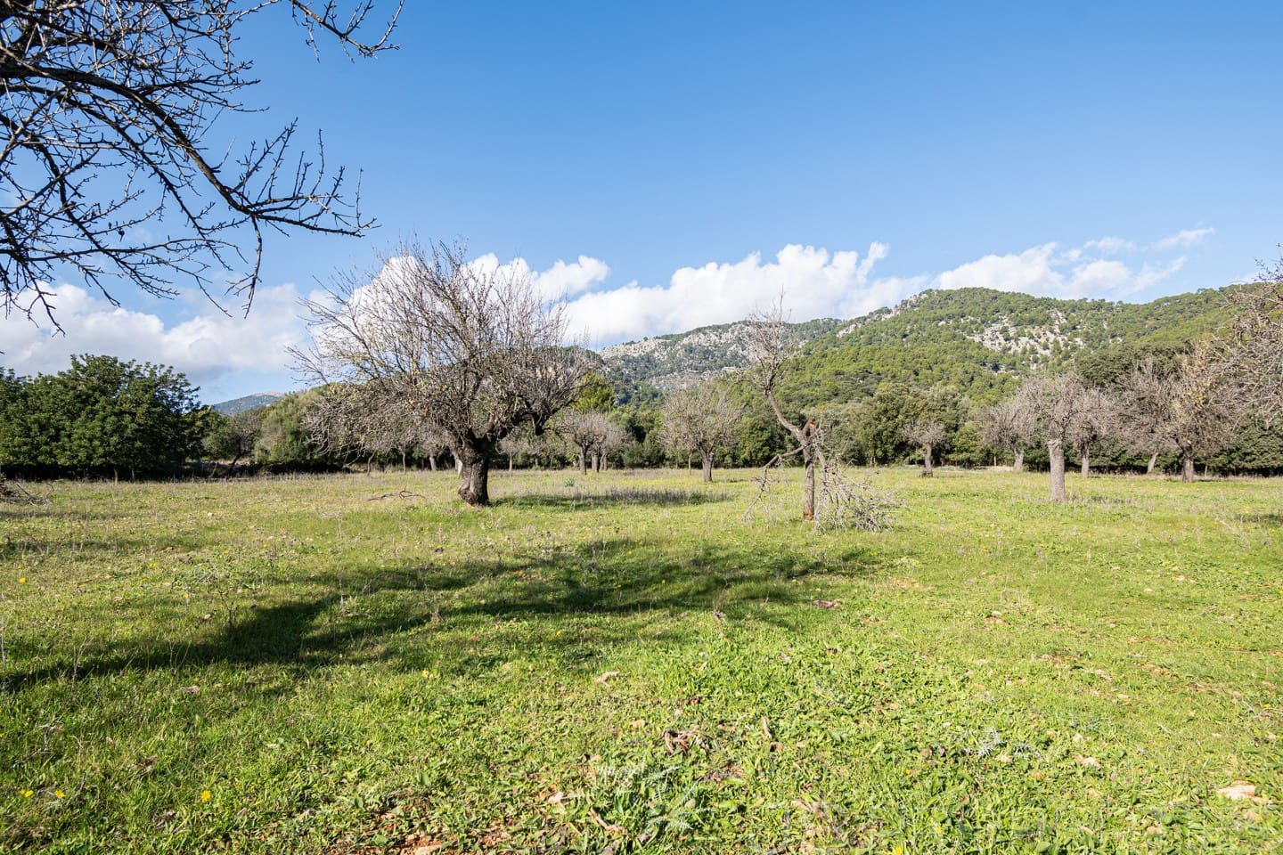 5 chambre Villa/Maison à vendre à Selva - 2 800 000 € (Ref: 8866563)