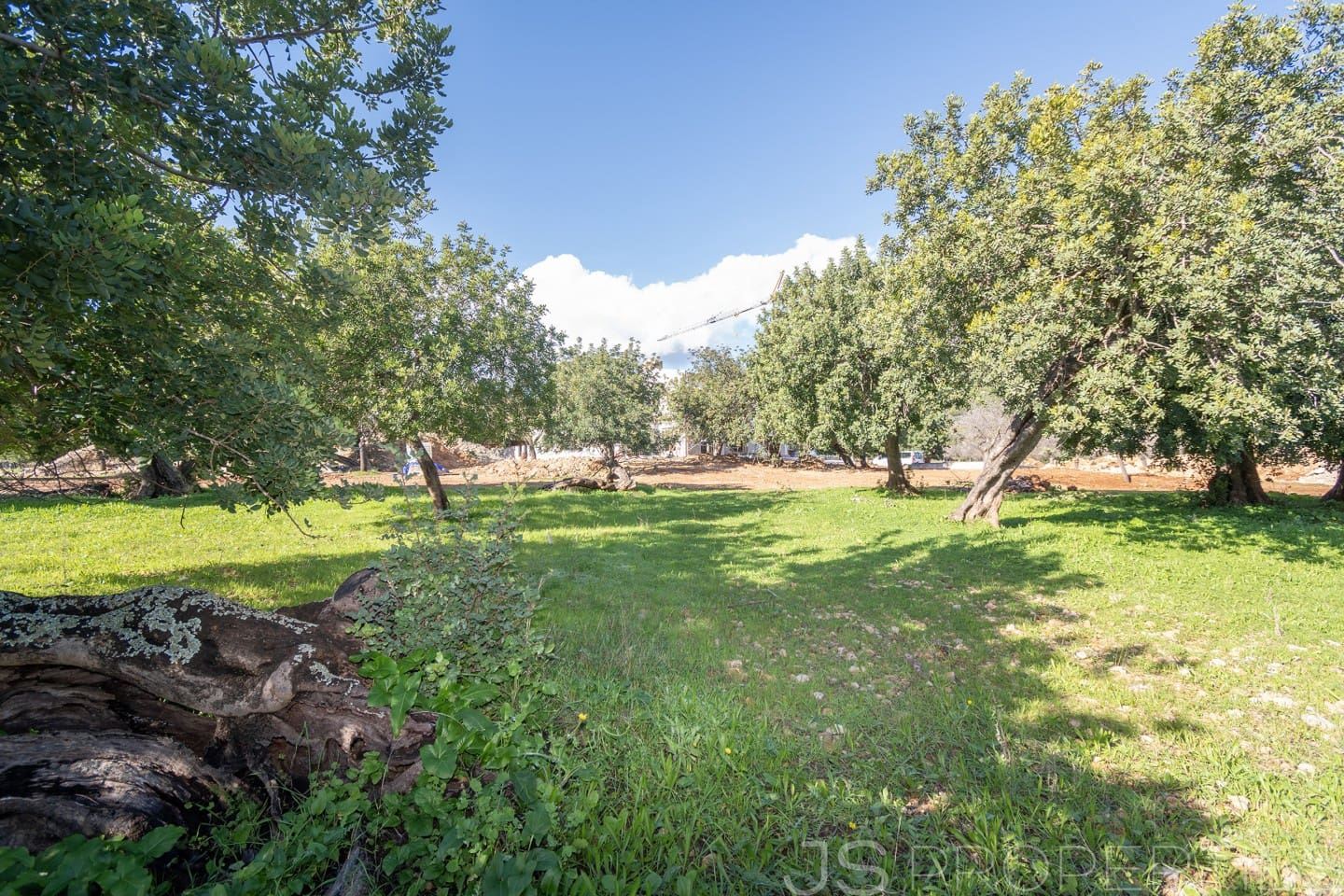 5 chambre Villa/Maison à vendre à Selva - 2 800 000 € (Ref: 8866563)