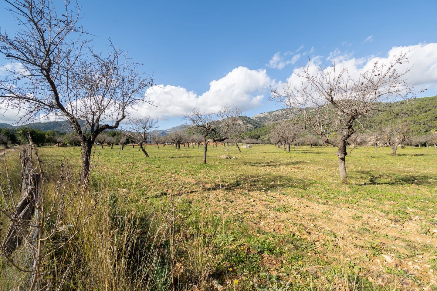 5 chambre Villa/Maison à vendre à Selva - 2 800 000 € (Ref: 8866563)