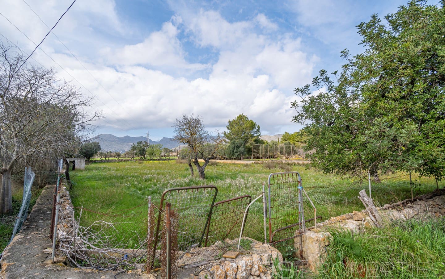 2 sypialnia Dom na sprzedaż w Pollensa / Pollenca - 399 000 € (Ref: 8872927)