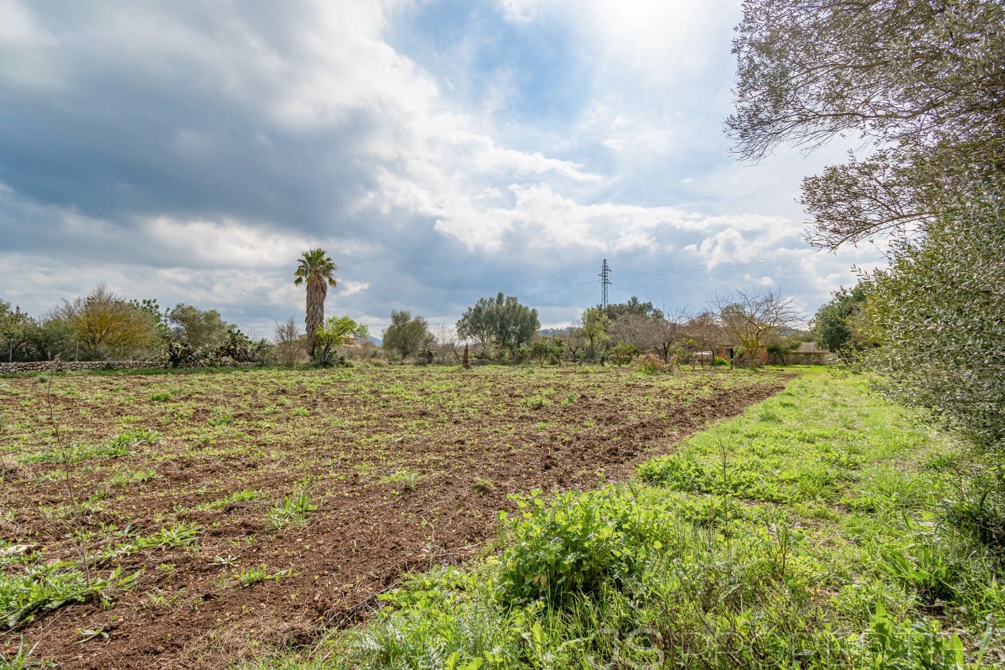 2 sypialnia Dom na sprzedaż w Pollensa / Pollenca - 399 000 € (Ref: 8872927)