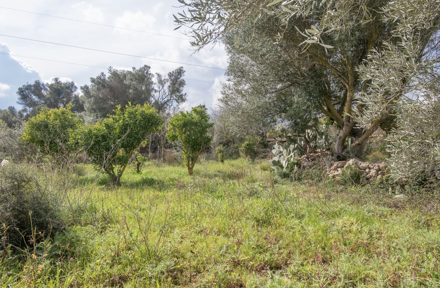 2 sypialnia Dom na sprzedaż w Pollensa / Pollenca - 399 000 € (Ref: 8872927)